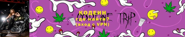 СК Пересвет