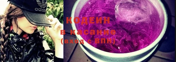СК Пересвет