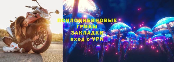 молекула духа Переславль-Залесский