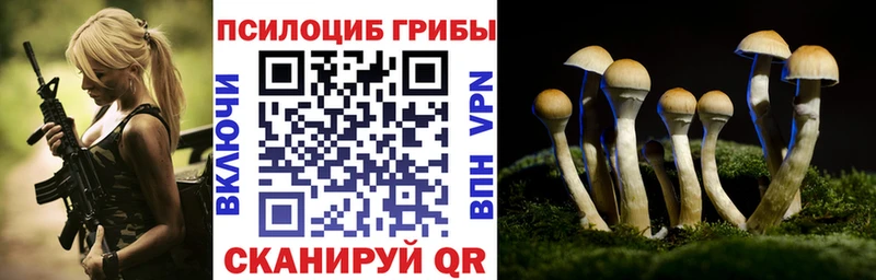 купить  сайты  Александровск  Галлюциногенные грибы мухоморы 